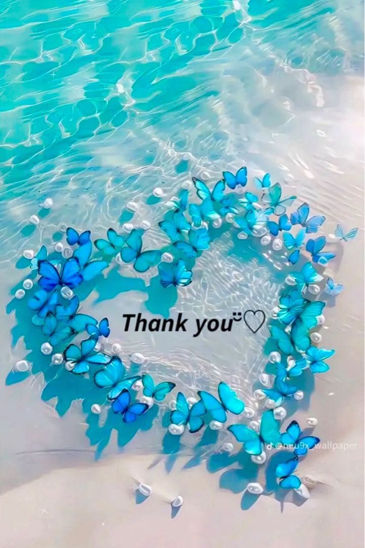 ❤️あさがお様❤️ 楽天市場】お中元 ギフト 花 朝顔 あさがお 曜白 朝顔 4種植え1鉢 8号