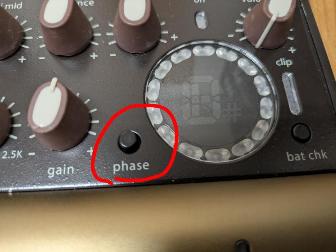 ジャンク　L.R.Baggs Venue di