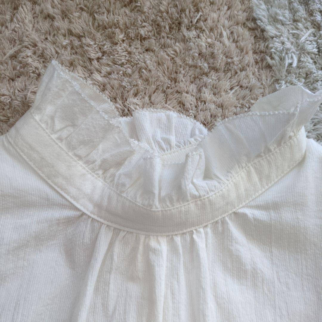 美品✨️BEARDSLEYビアズリー上品大人可愛い24SSフリル衿ブラウス