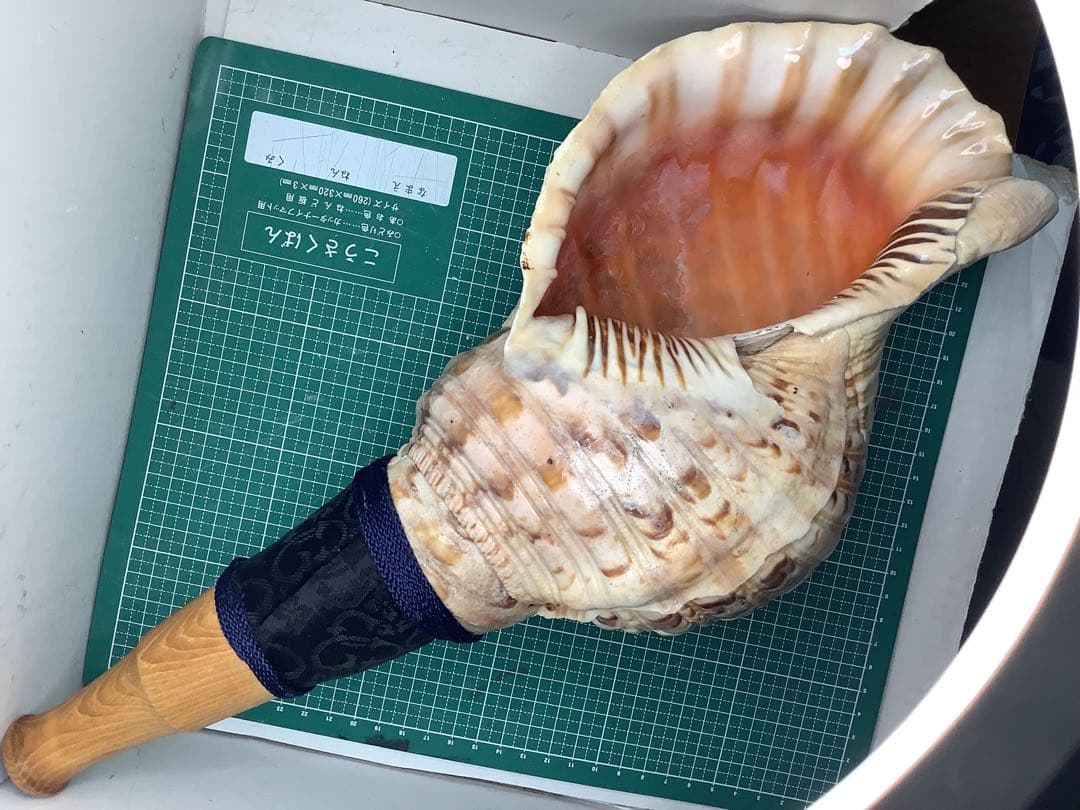 00・法螺貝・山伏・修験者・金峯山・羽黒山・戦国武将・豊臣兄弟