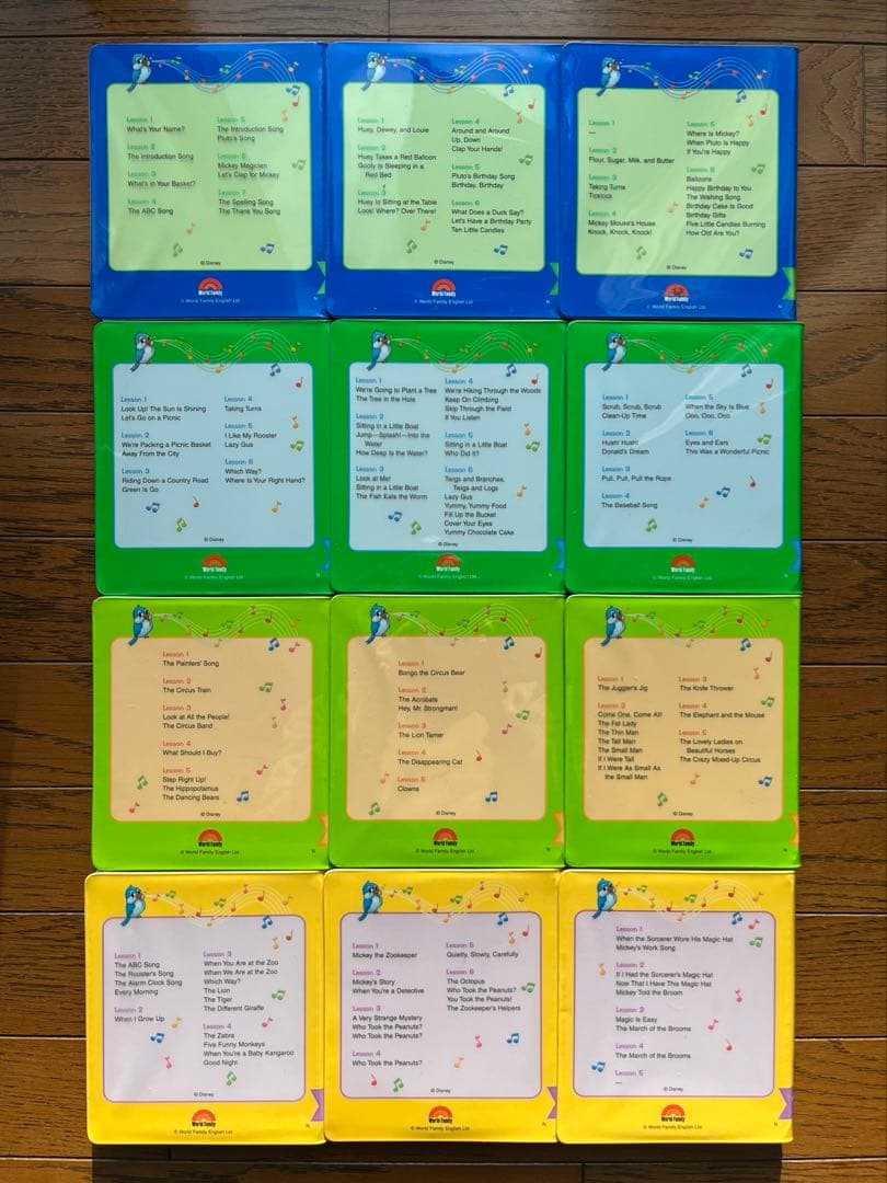 2018年DWE 新子役　ステップバイステップ　DVD