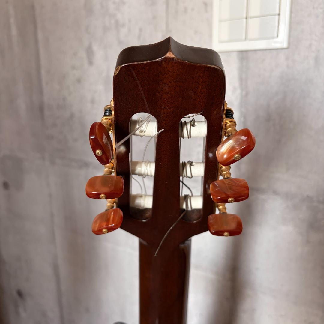 タカミネ ガッドエレアコギター PT-115N ST - メルカリ