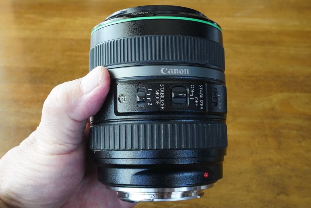 レンズ(単焦点) EF70-300mm F4.5-5.6 DO IS USM