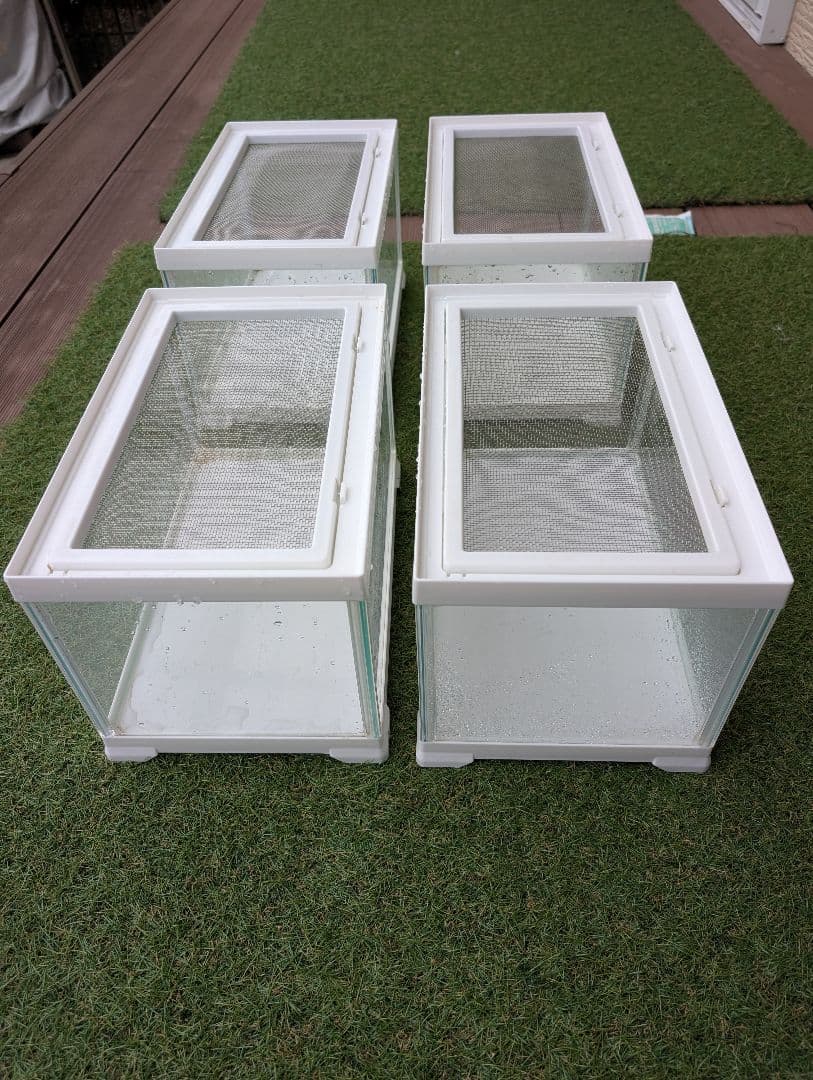 レプテリア300LOW廃盤商品４つ レプテリアホワイト300Low エキゾテラ GEX テラリウム水槽 販売 通販