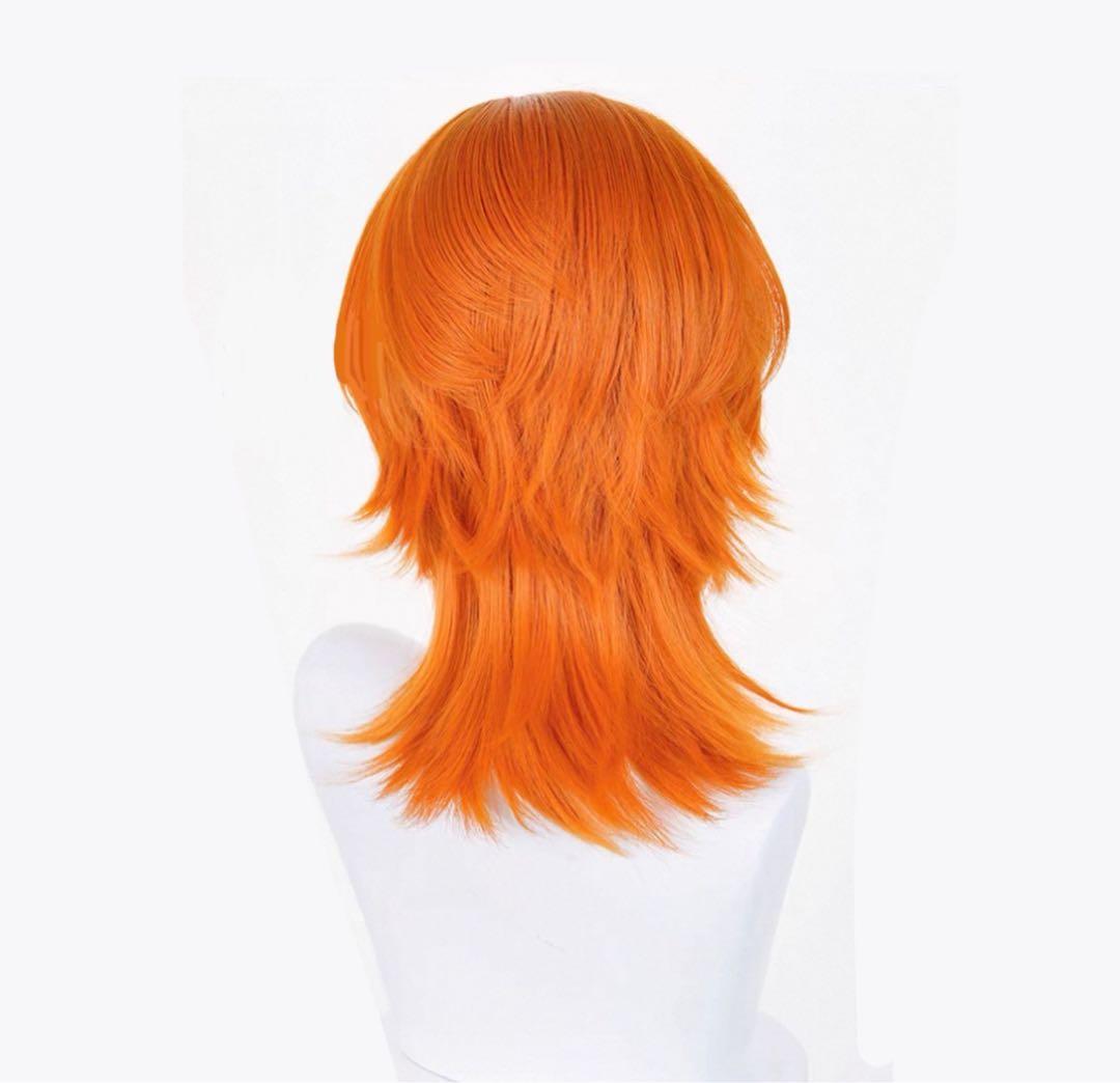 ディズニー ズートピア ニック・ワイルド 長髪 タイプB ウィッグ