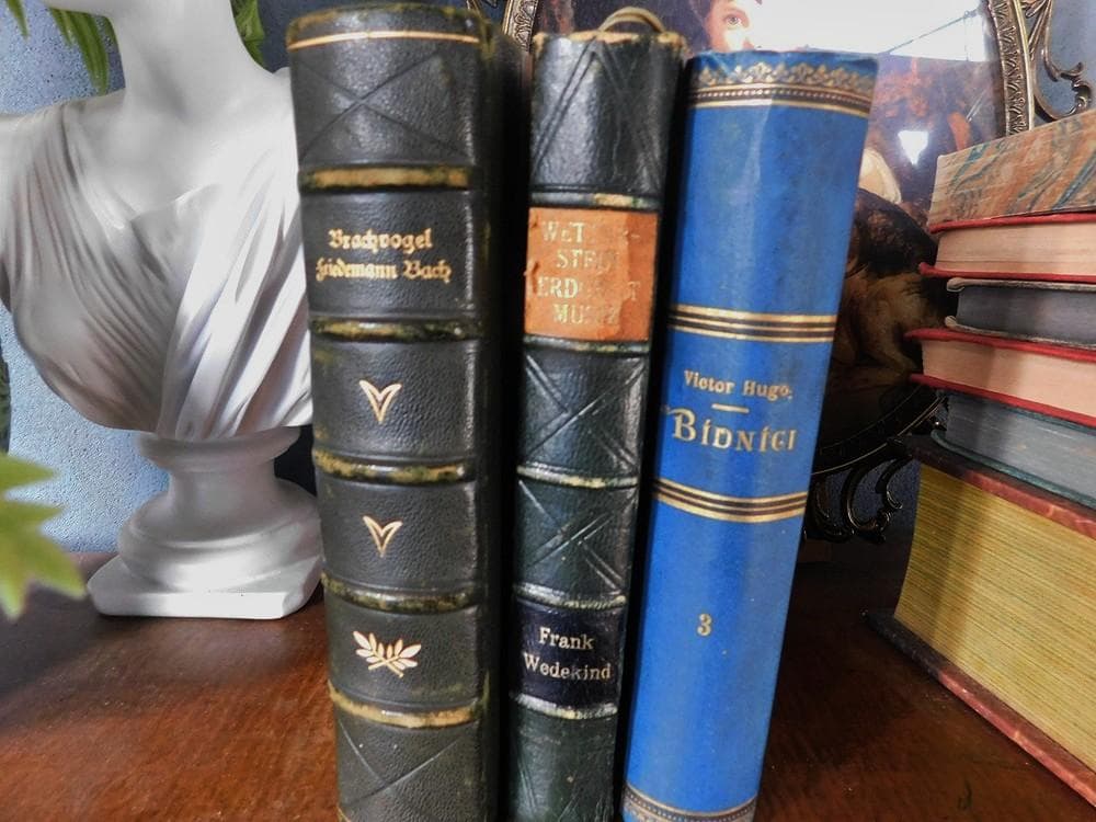 3冊セット.:*゜背表紙が素敵なドイツとチェコの古書 19－20世紀初頭