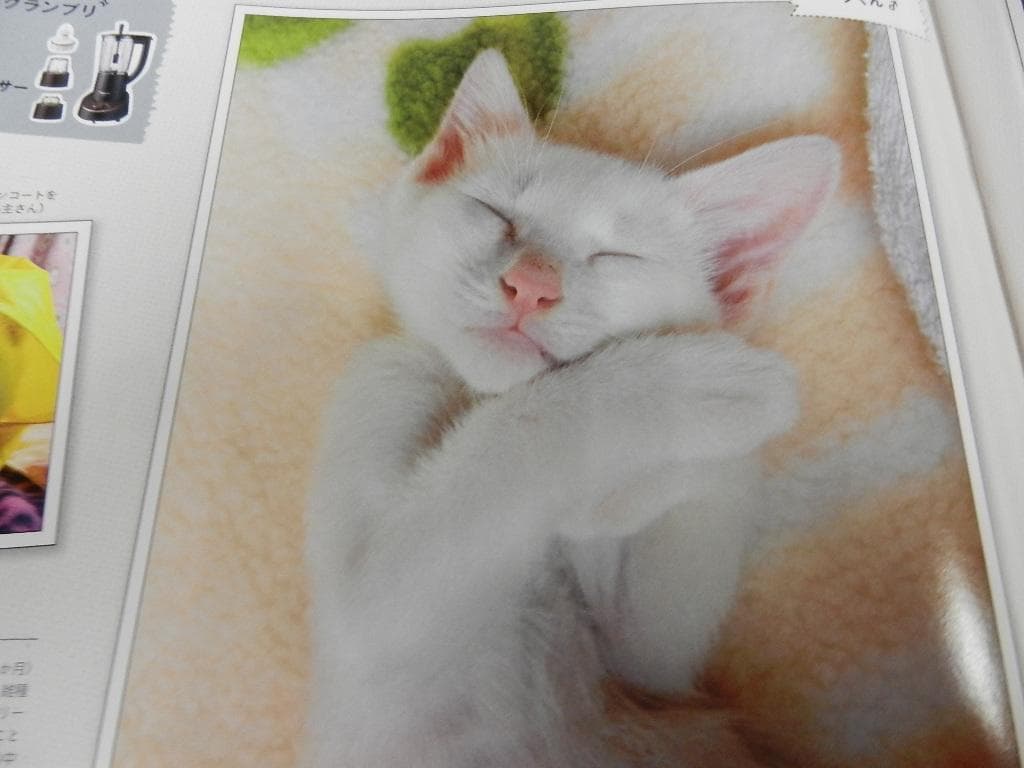 2013.5.15№1855【an・an】＜三浦春馬さん+コムギ＞コニャンコ・他