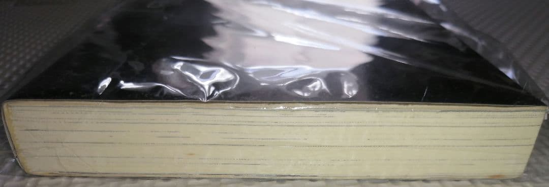 矢森惨太郎・13cm】好き好き大好き! 小説 - メルカリ