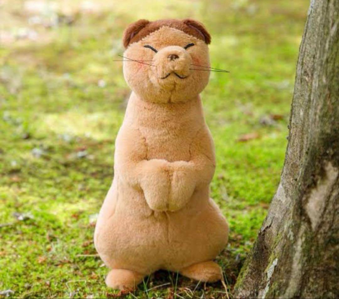 小日向美香のひなたぼっこ。公開イベント 缶バッジ 9個セット