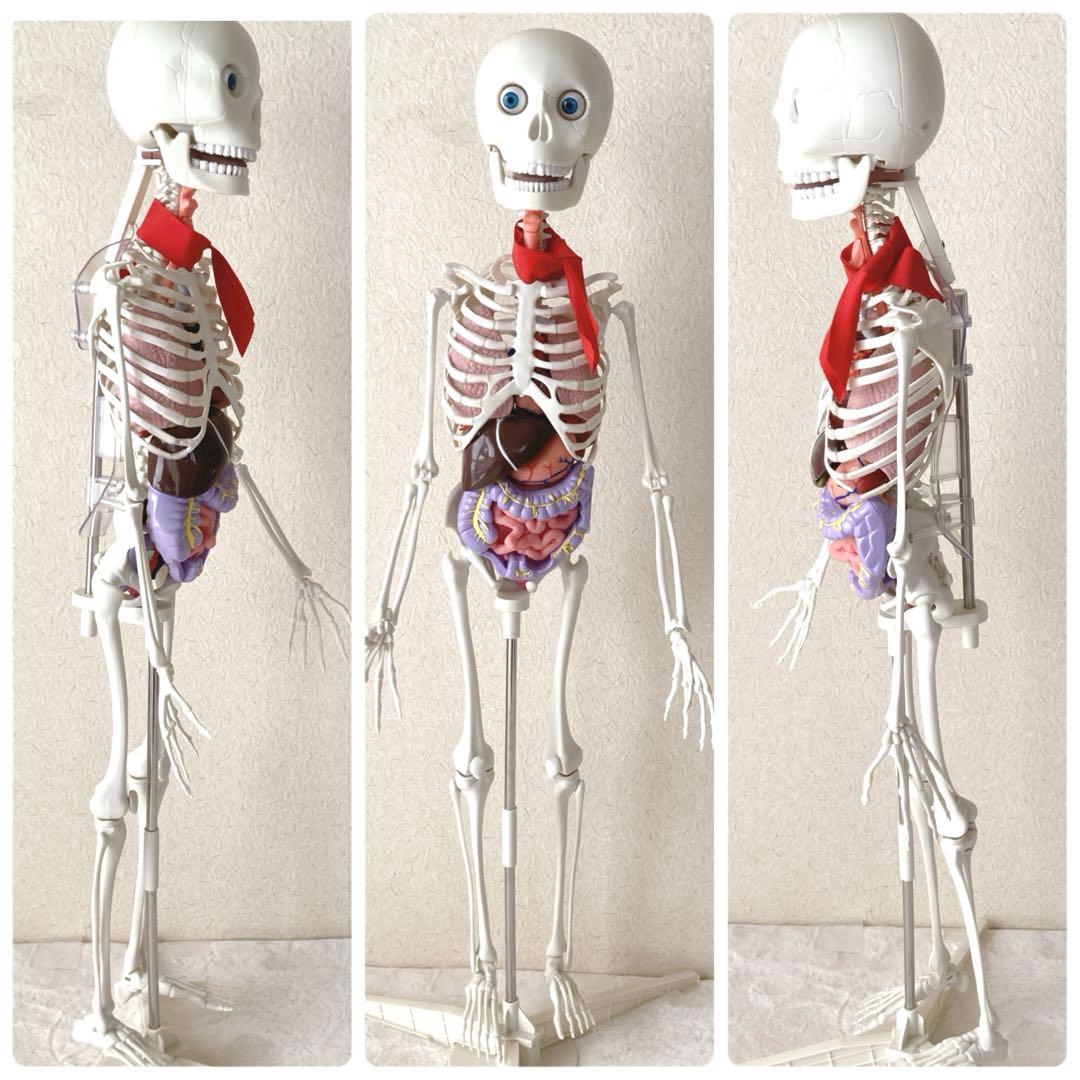 入手困難・通電確認済✨デアゴスティーニ おしゃべりガイコツ