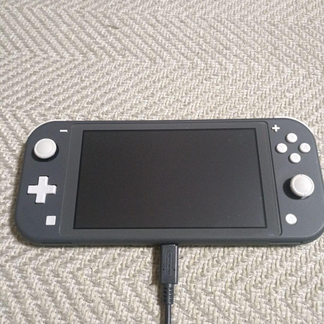 Nintendo Switch Lite グレー 本体 充電器・専用ケース付き Nintendo Switch Lite グレー 本体 充電器付き - メルカリ