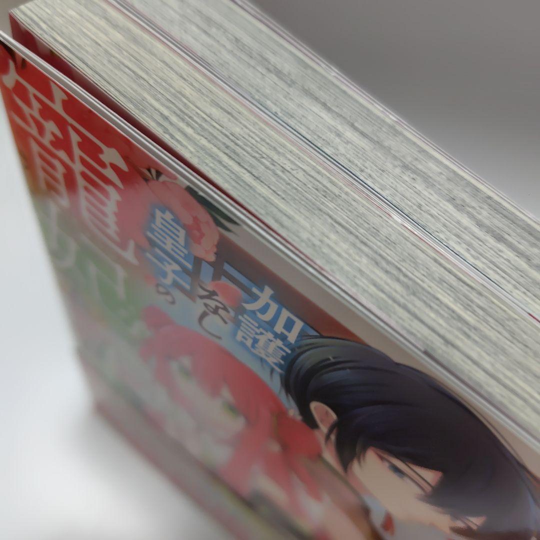 やり直し精霊姫は加護なし皇子の寵妃を目指す