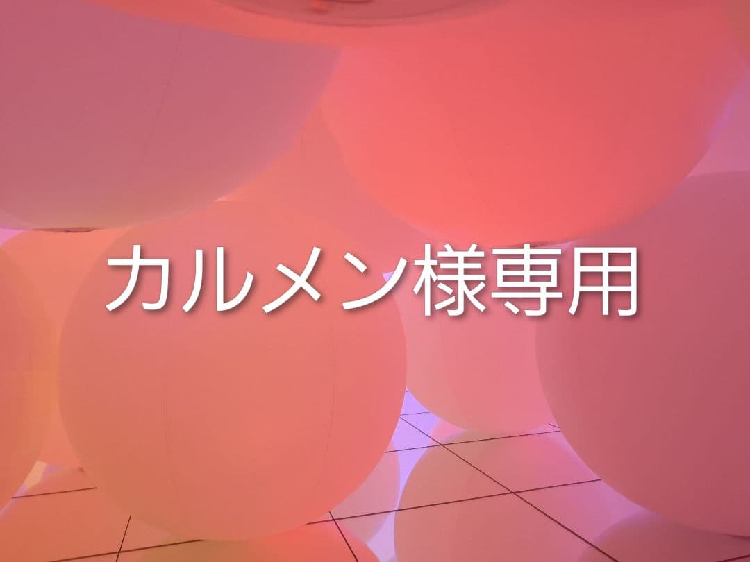 カルメン 681824000301.jpg