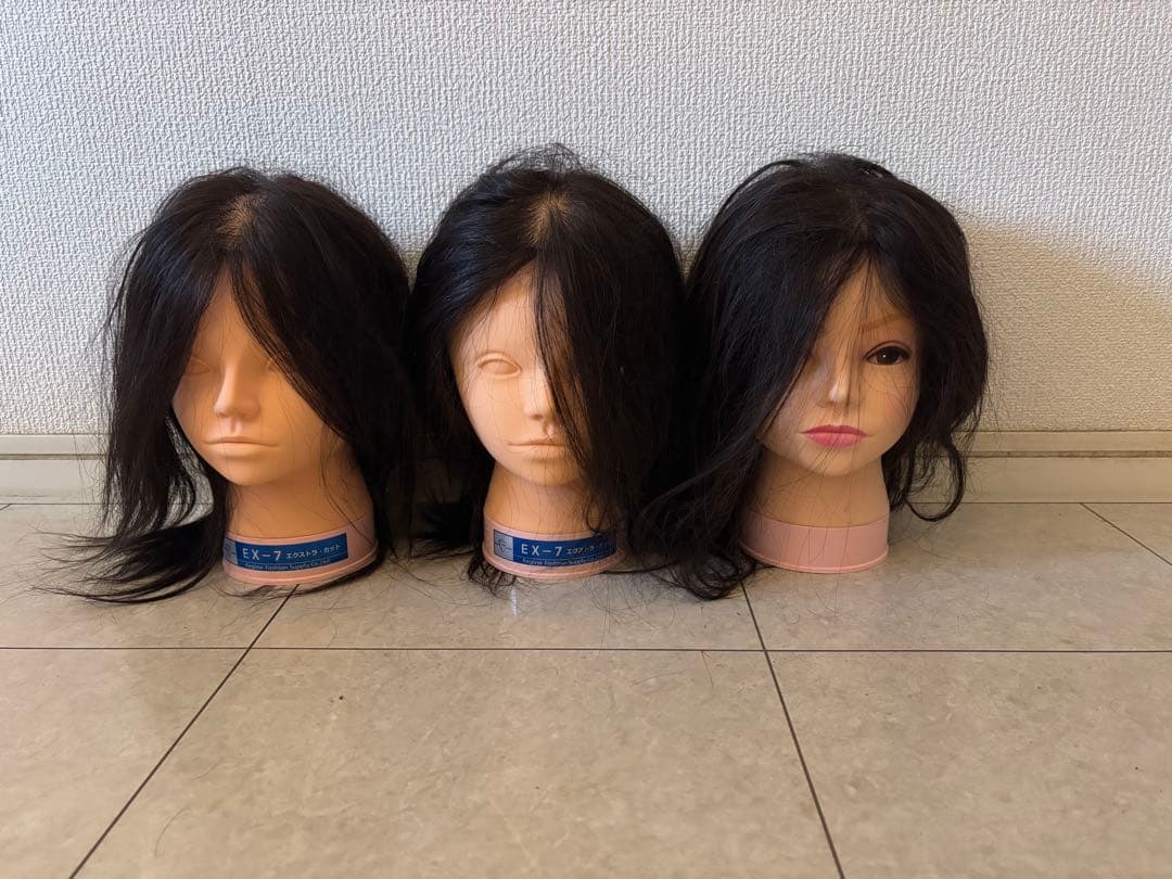 Regina EX-7 ウィッグ 3点セット　レジーナ　美容師　練習用 レジーナ No.EX-7【基礎カット用/人毛100%】の卸・通販 | ビューティ