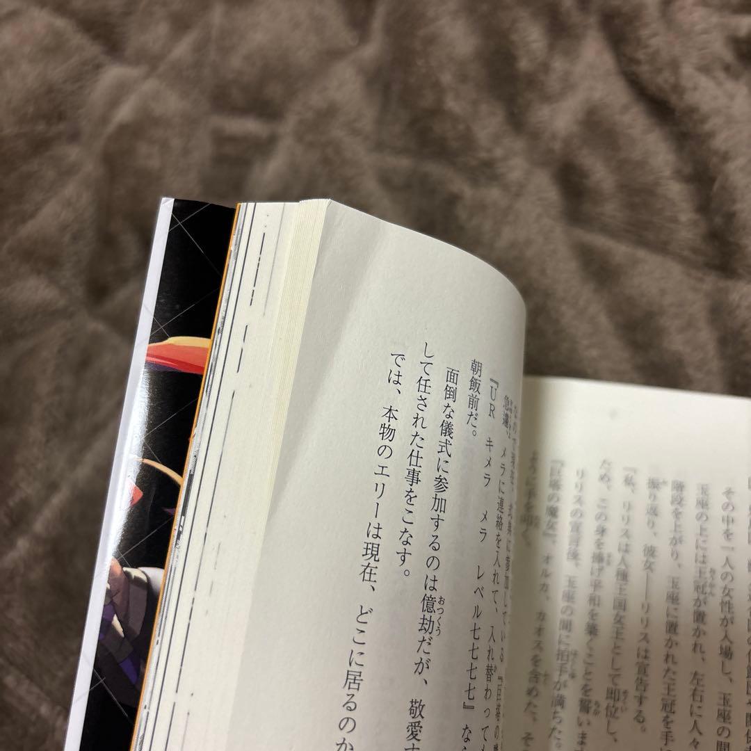 信じていた仲間達にダンジョン奥地で殺され 全巻 1-13巻 小説 全初版 希少