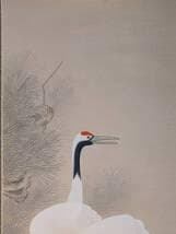 真作】掛軸 松上鶴 吉祥を描く優雅な彩色美 長寿と繁栄 共箱入 T143