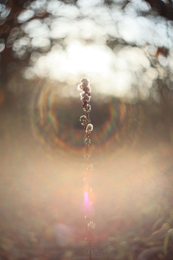 MC HELIOS-44M-6 58mm F2 《Valdai製》【美品】