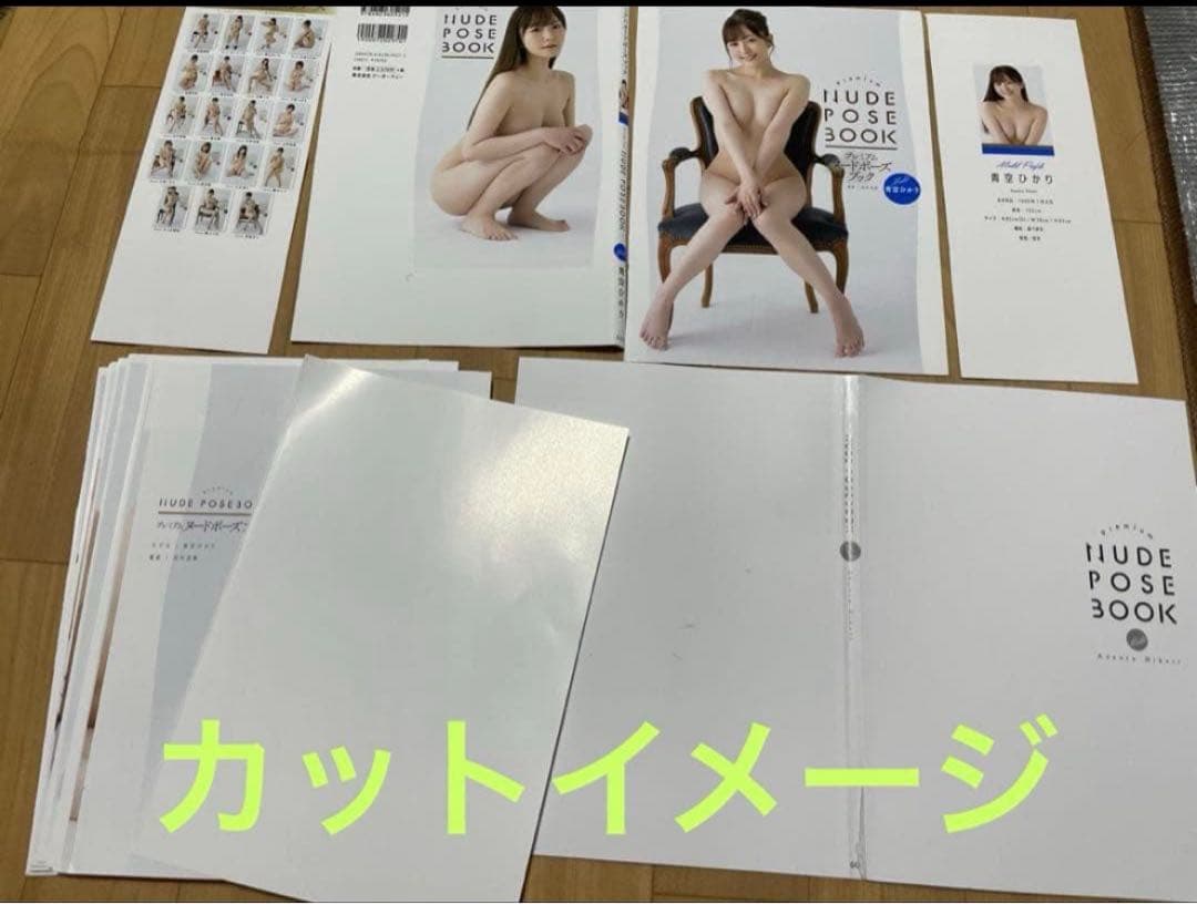 大人気激レア【裁断済み】夢乃あいか　プレミアムヌード•ポーズブック