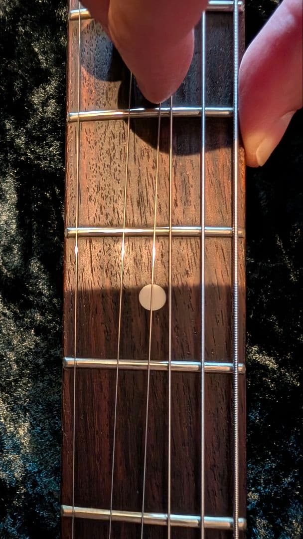 HISTORY TH-SV/R VWH フジゲン heritage wood - メルカリ