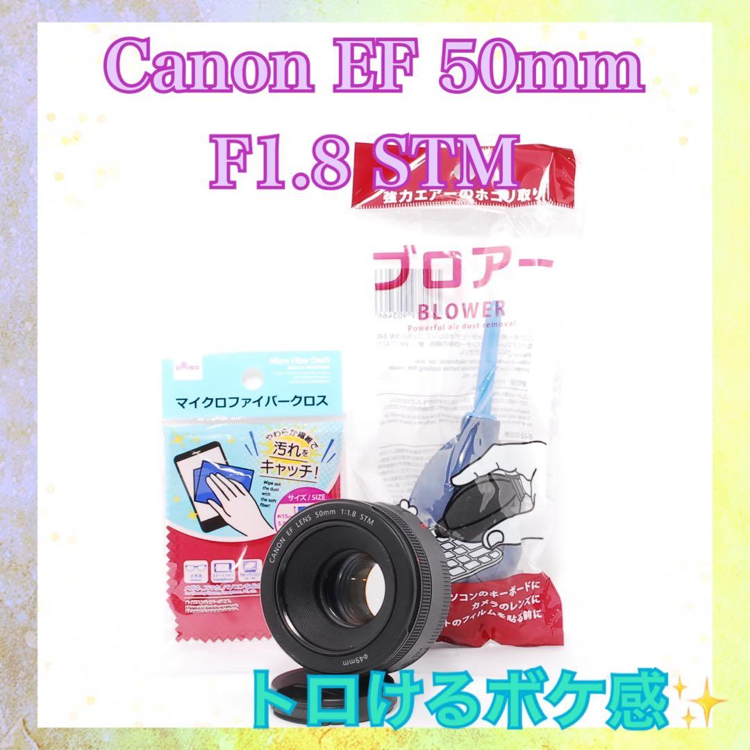 ❤️トロけるボケ感❤️Canon EF 50mm F1.8 STM❤️単焦点レンズ❤️ キャノンEF 50mm F1.8 ⅡとSTM ボケ味ある単焦点レンズ比較レビュー
