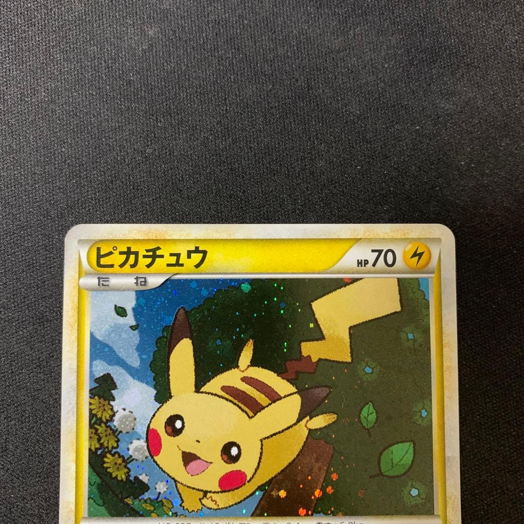 3511 ピカチュウ ポケモンだいすきクラブ プロモ 019/L-P