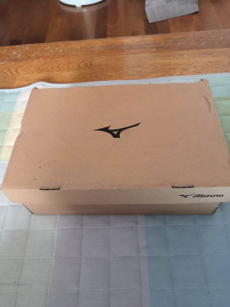 新品、未使用！ミズノ Mizuno BOAシステム 安全靴 26.5EE 赤