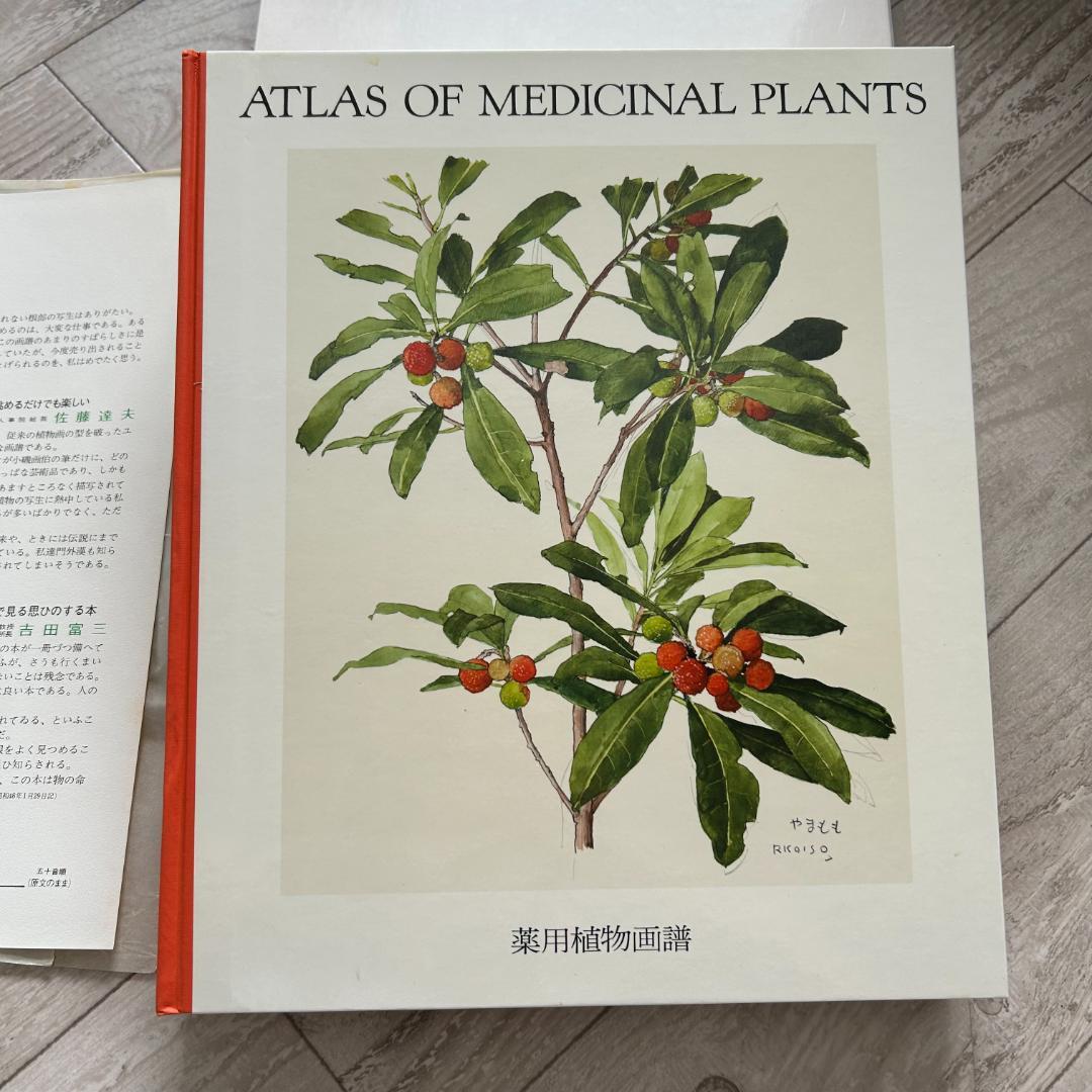 初版！判子＆カバーあり！薬用植物画譜 /小磯良平 刈米達夫 静物画 薬用植物画譜」 小磯良平・刈米達夫（1971）