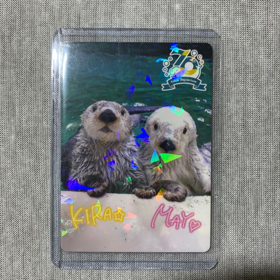 鳥羽水族館 70周年記念コレカ レアカードメイ☆キラ - メルカリ