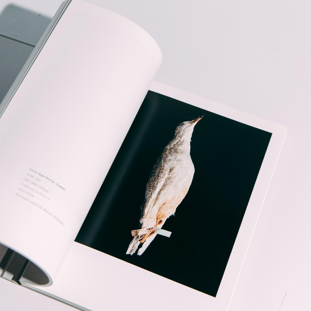 希少本 BIOSOPHIA of BIRDS : 上田義彦 原研哉 - メルカリ