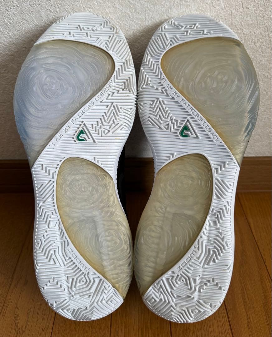 NIKE ZOOM FREAK 1 ナイキ ズームフリーク 28.5cm