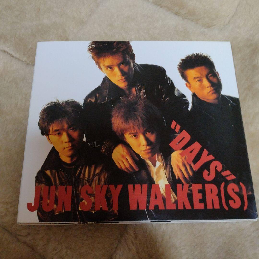 ジュン・スカイ・ウォーカーズ/