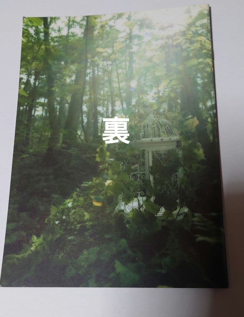 LAREINE パンフレット コメントサイン入り KAMIJO - メルカリ