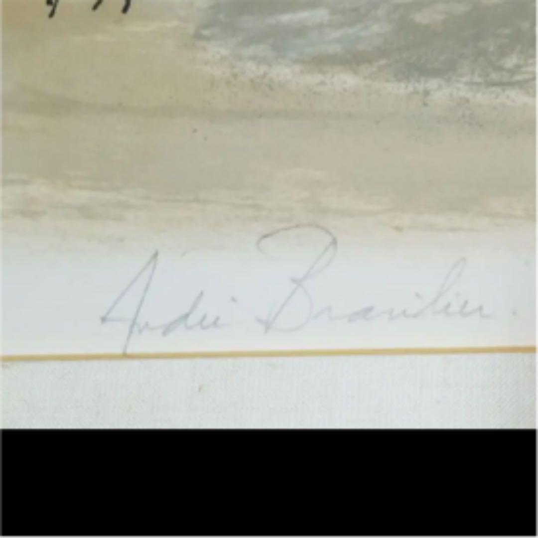 アンドレブラジリエのリトグラフ サイン入レア物 珊瑚色の隊列です