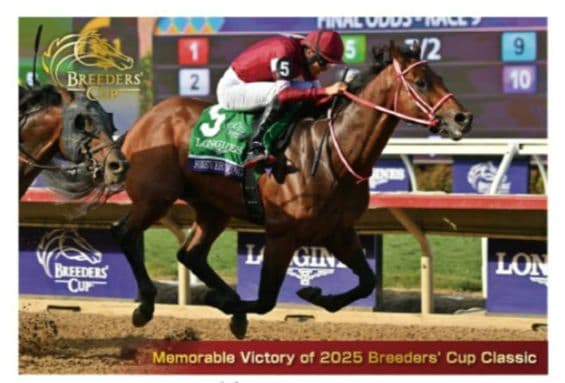 競馬 JRA フォーエバーヤング UMACA シール ポストカード セット