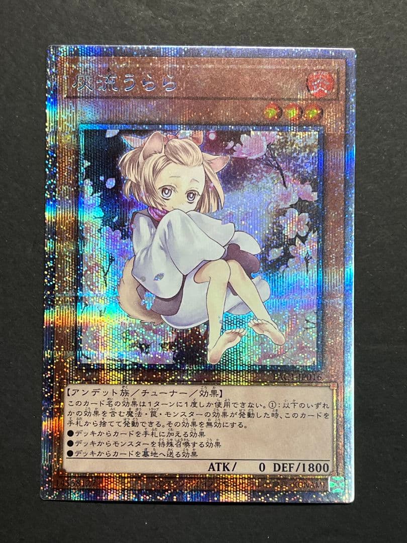 遊戯王　灰流うらら　プリズマティックシークレット　絵違い 灰流うらら(シークレット/イラスト違い) | シークレット | ドラゴン