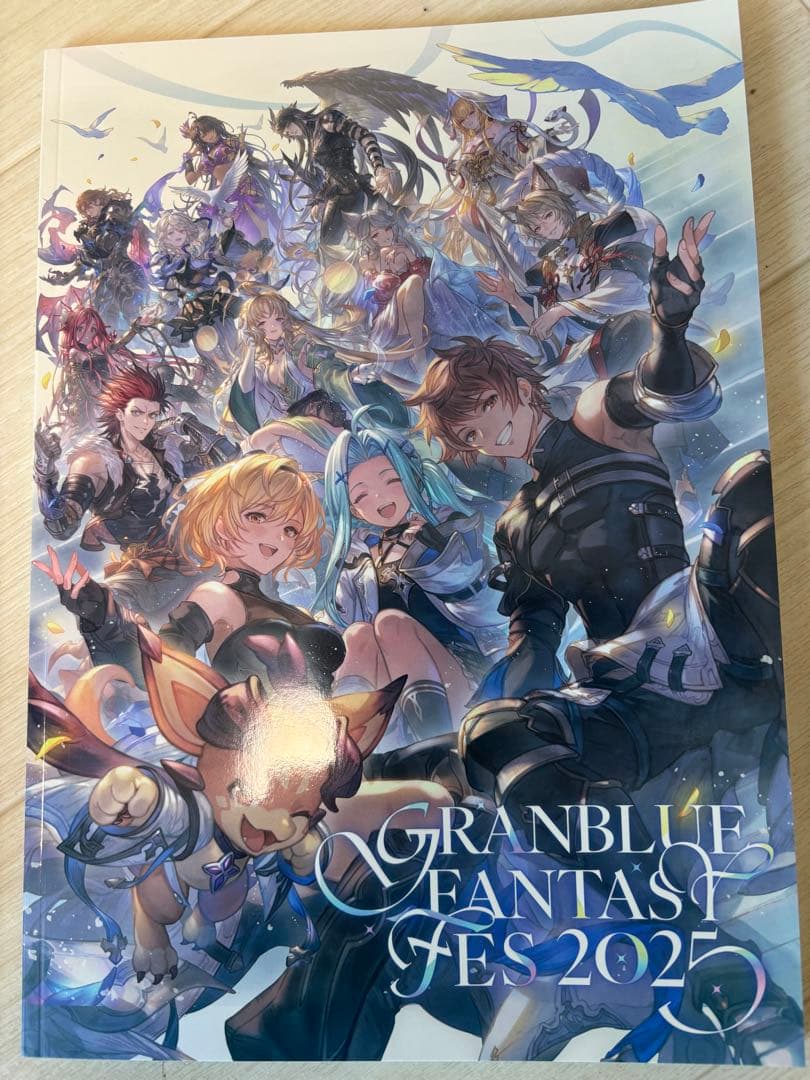 GRANBLUE FANTASY FES 2025 パンフレット - メルカリ