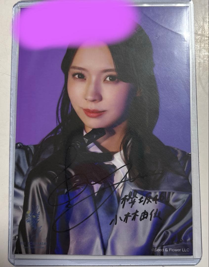 怪談の学校 京極夏彦 木原浩勝 中山市朗 東雅夫 絶版本 初版本 希少本