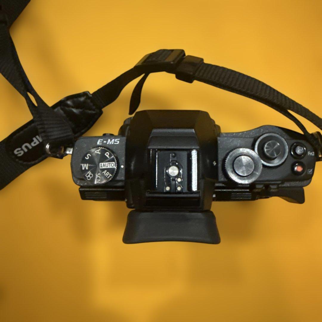 ジャンクOLYMPUS OM-D E-M5 デジタル一眼レフ - メルカリ