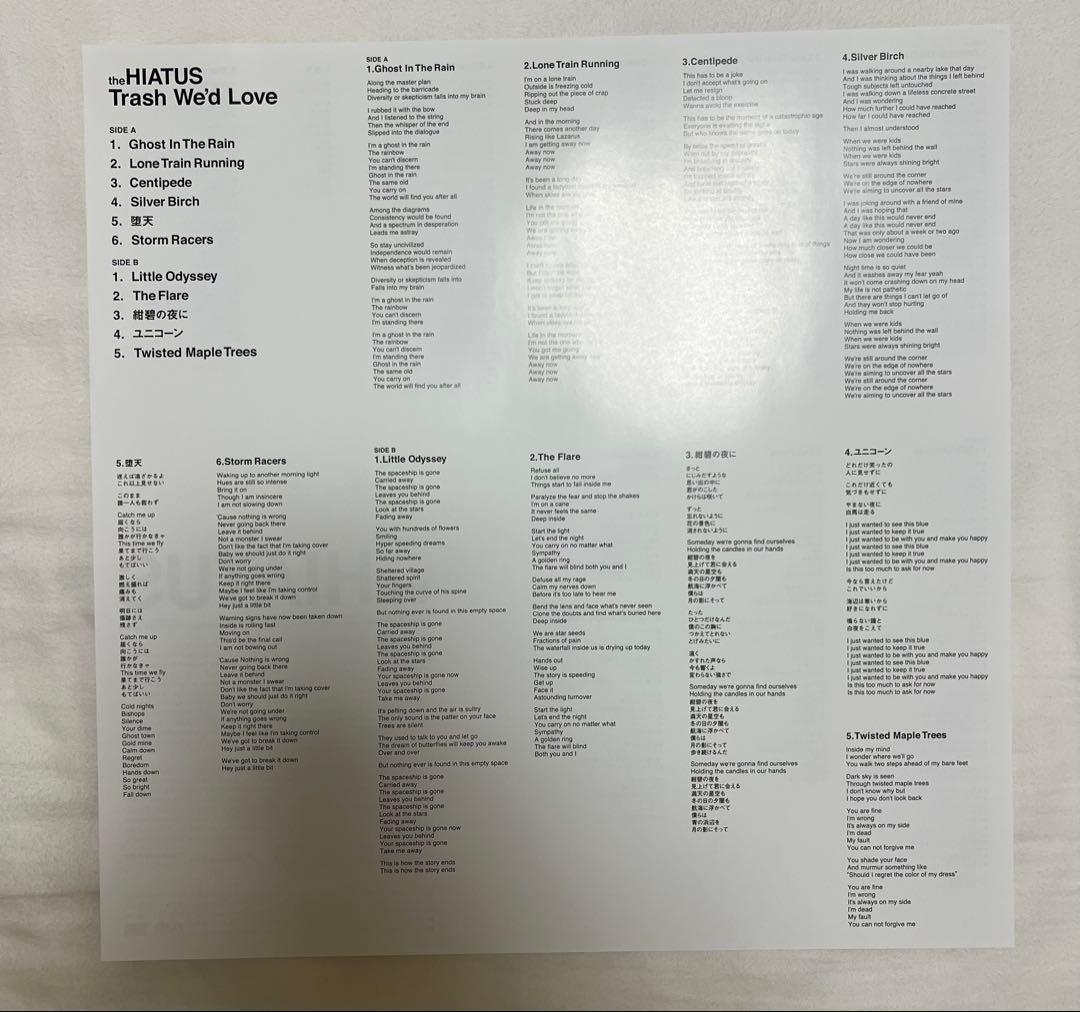 the HIATUS - Trash We'd Love アナログ レコード