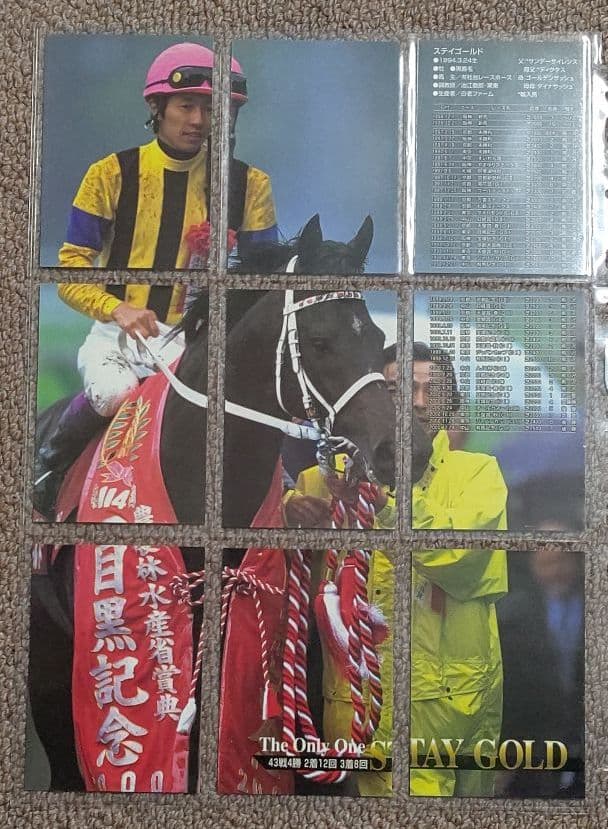 第114回目黒記念 勝馬ステイゴールド単勝馬券・レープロ・カードセット