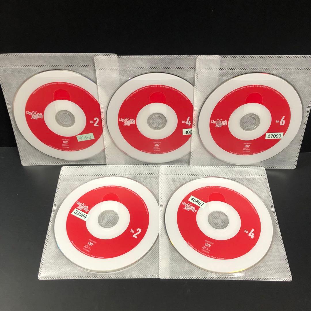 はたらく細胞 1期+2期 レンタルDVD アニメ 全巻セット