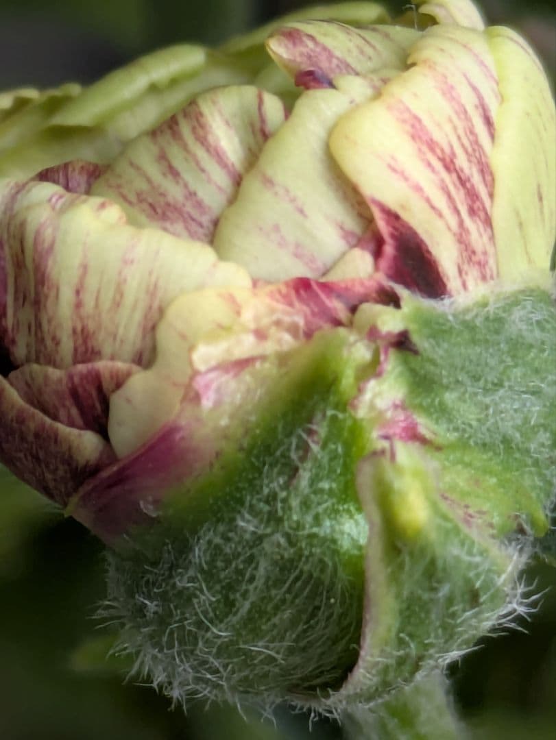 ♡みあり様♡13周年感謝価格✨✨