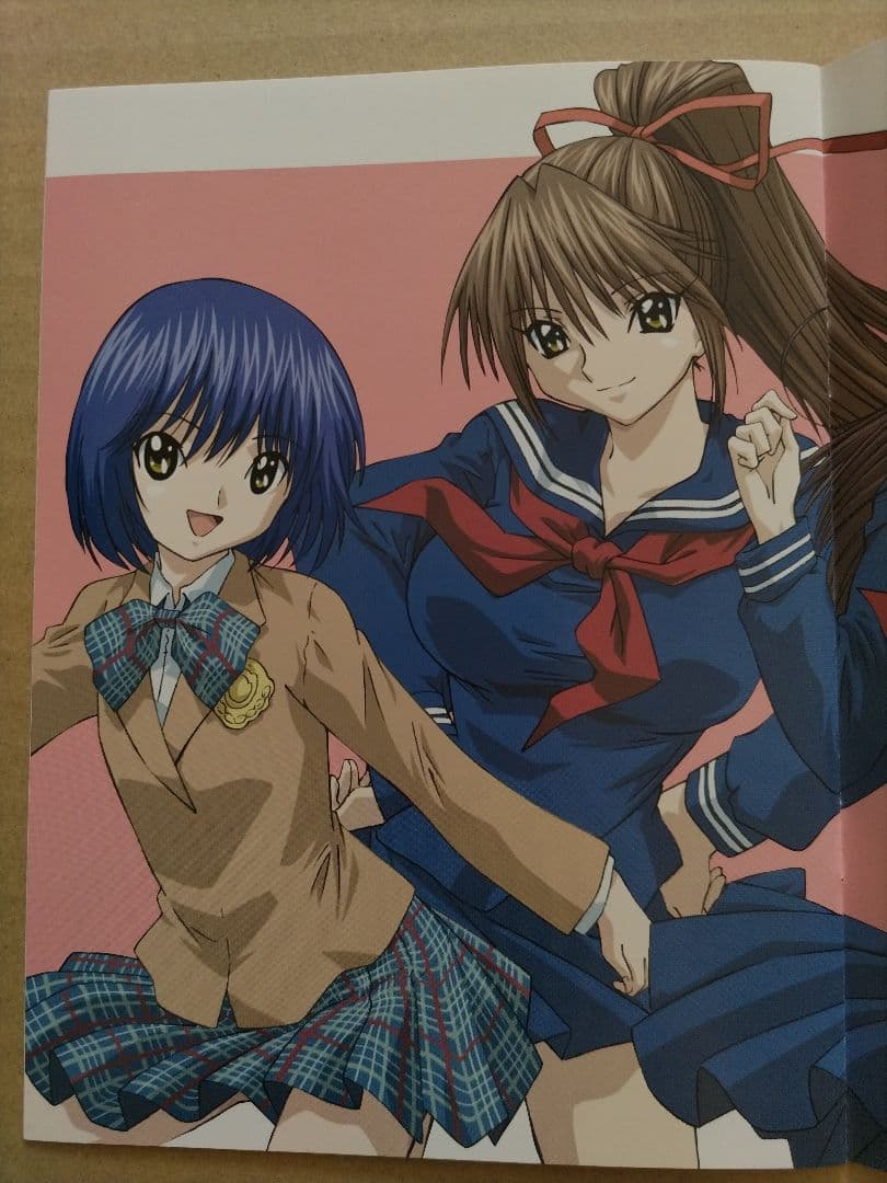 いちご100% スペシャル DVD ~とれたて編~