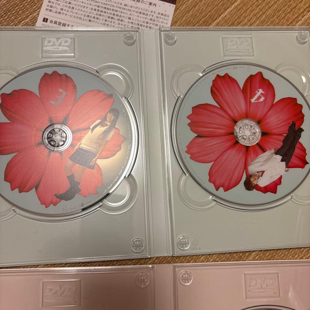 オトメン（乙男）DVD-BOX DVD