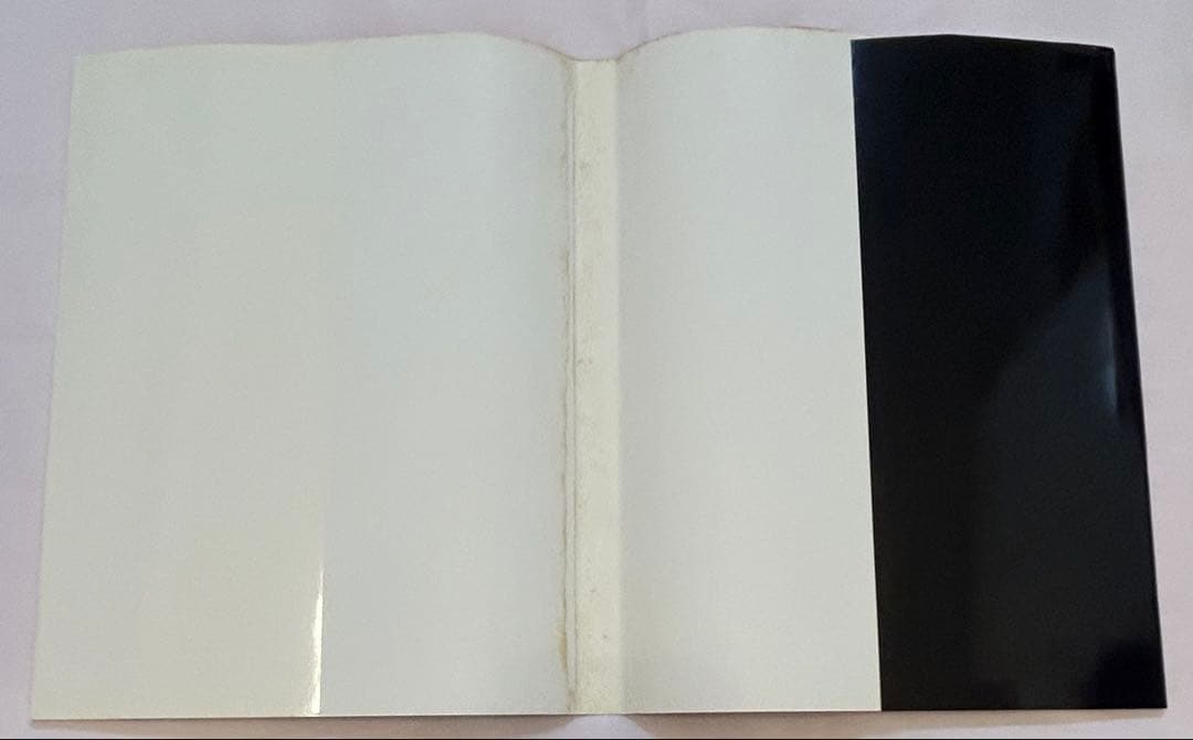 ハミルトン・ピクチャーズ David Hamilton 初版 帯、フライヤー付