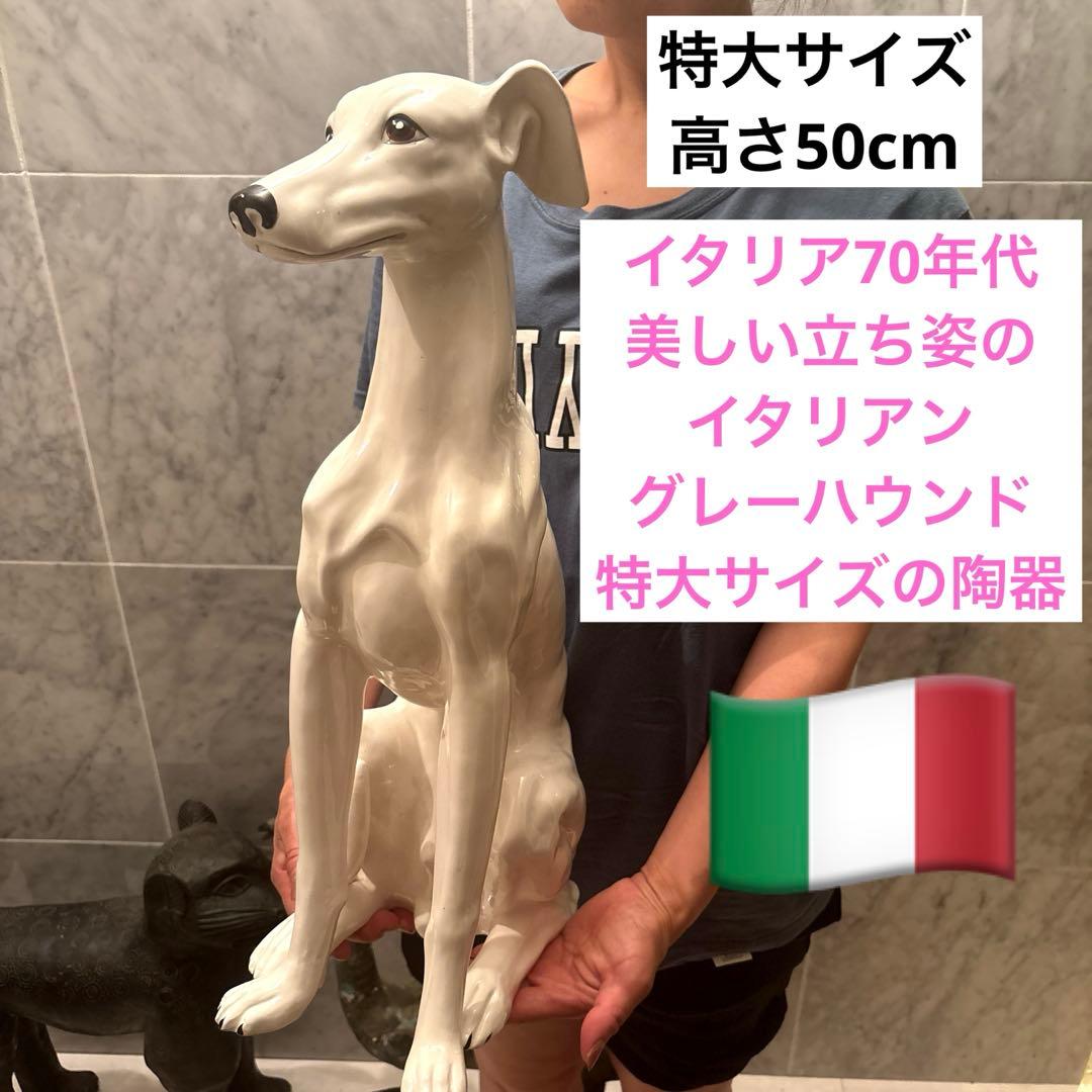 イタリア70年代ビンテージ美しい立ち姿のイタリアングレーハウンド特大