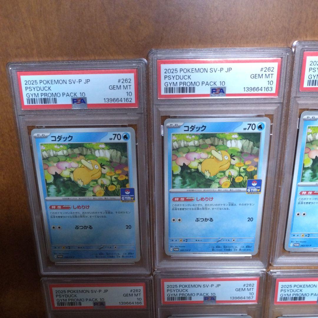 PSA10】コダック しめりけ 262/SV-P ジムプロモ 8枚 連番 - メルカリ