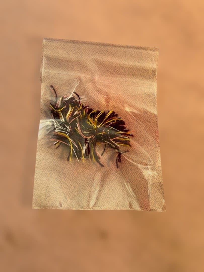 訳あり] Jean-Paul GAULTIER MAILLE ペイズリーシャツ