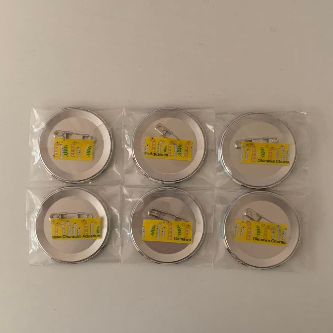 あんスタ 影片みか テーマスカウト缶バッジ2021 autumn casual - メルカリ