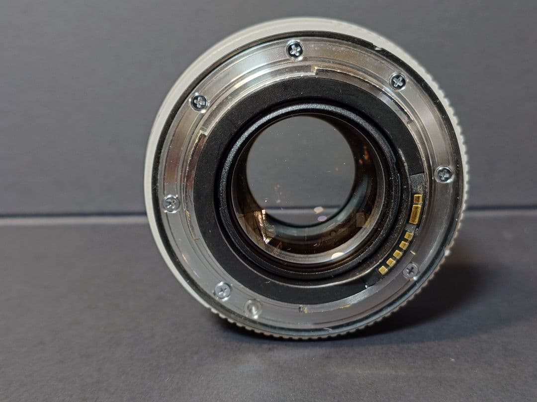 レンズ(単焦点) Canon EXTENDER EF 1.4x III